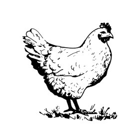 Homicidal Chicken